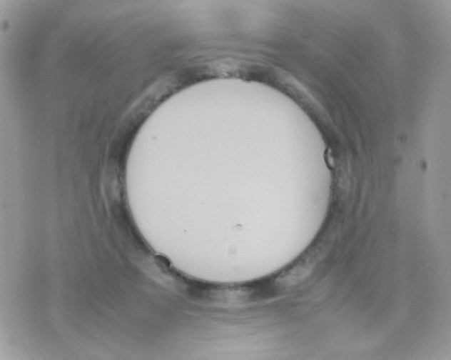 X0000074970313200609291945