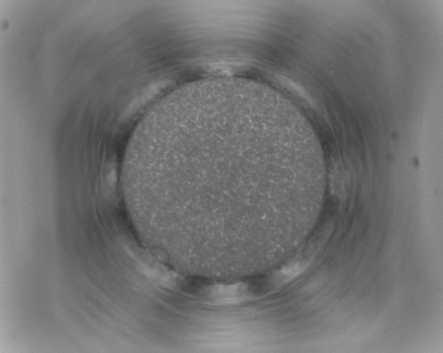 X0000074970314200609291945