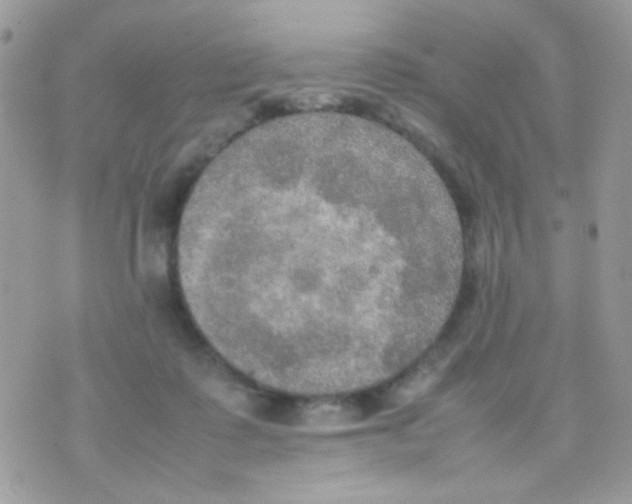 X0000074970315200609291945