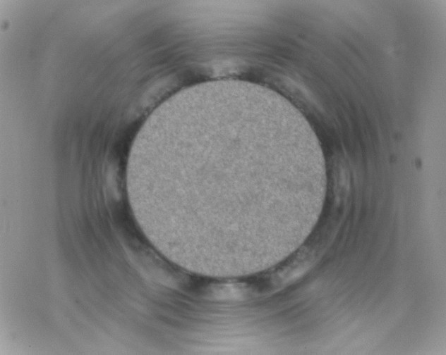 X0000074970316200609291945