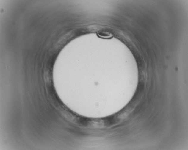 X0000074970317200609291944