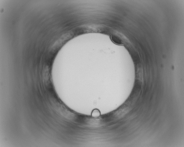 X0000074970318200609291944