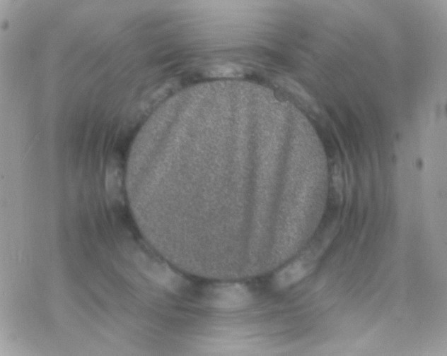 X0000074970322200609291944