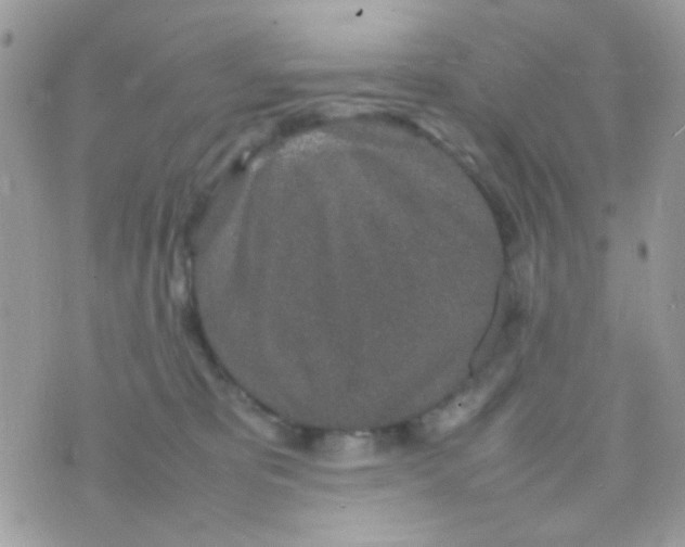 X0000074970325200609291944