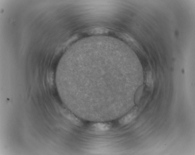 X0000074970326200609291944