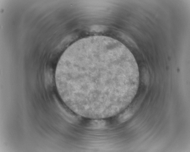 X0000074970328200609291944