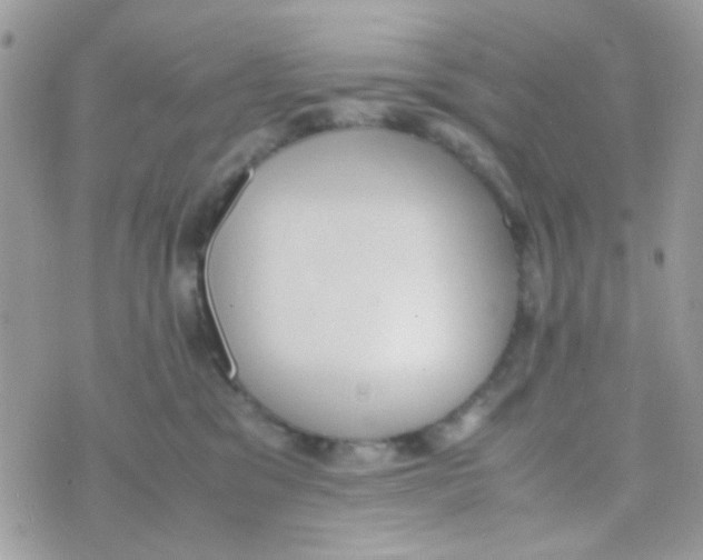 X0000074970329200609291944