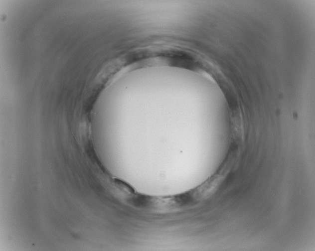 X0000074970333200609291944