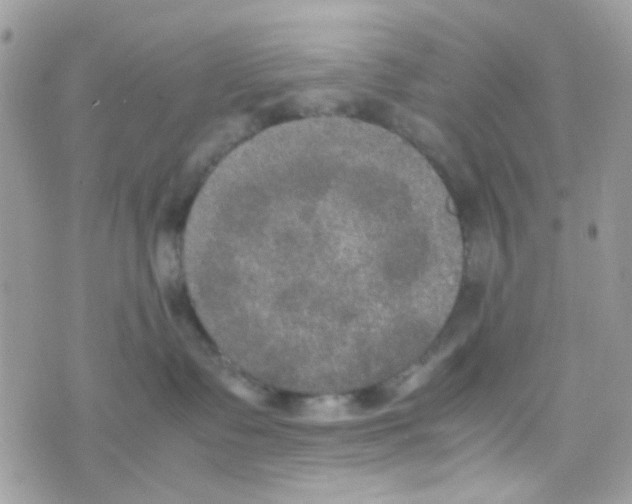 X0000074970335200609291944