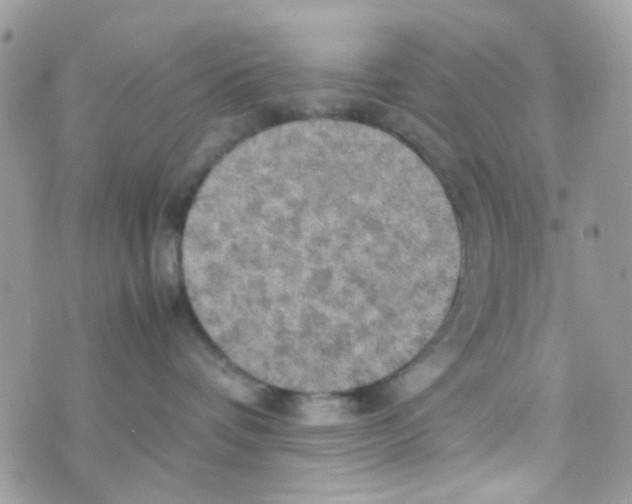 X0000074970336200609291944