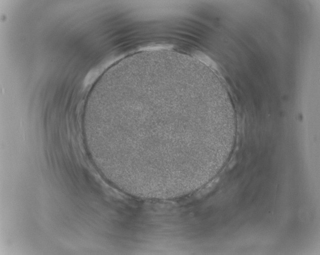 X0000074970337200609291943