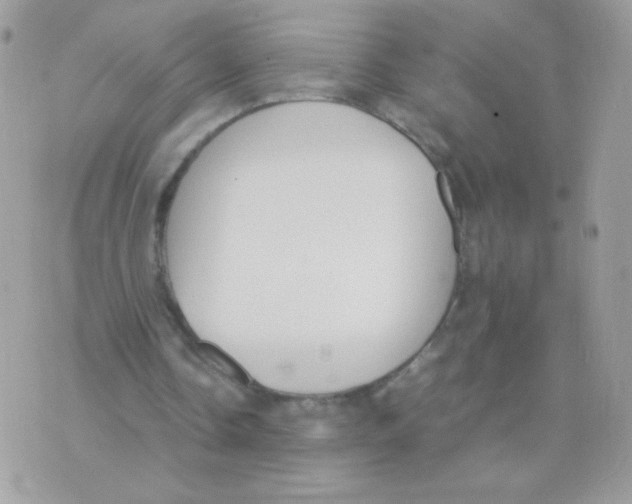 X0000074970338200609291943