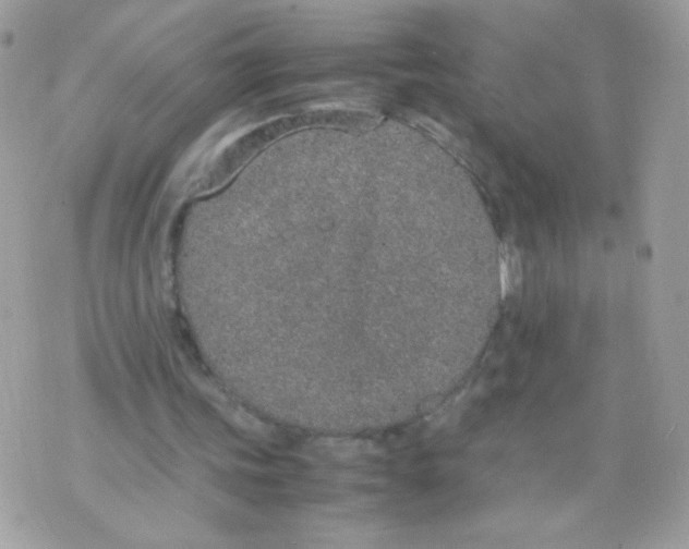 X0000074970339200609291943