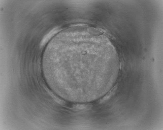 X0000074970341200609291943