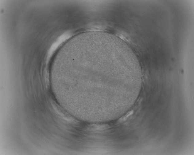 X0000074970343200609291944