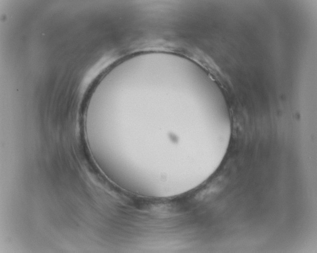 X0000074970344200609291944