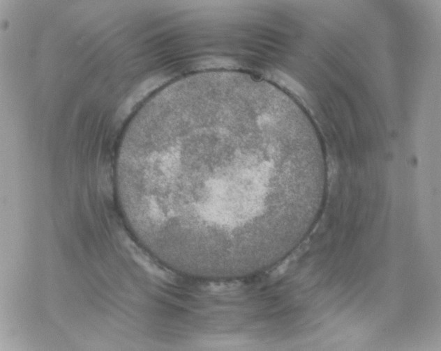 X0000074970345200609291944