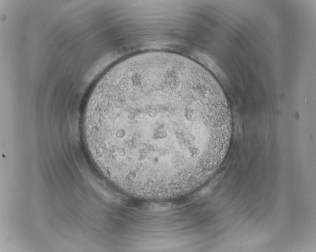 X0000074970346200609291944