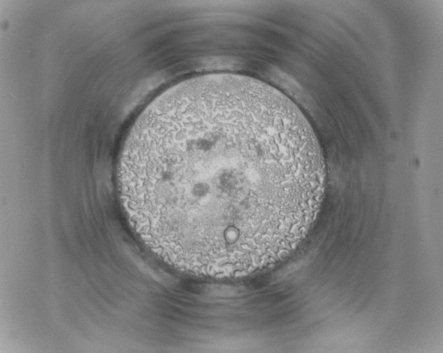 X0000074970347200609291944