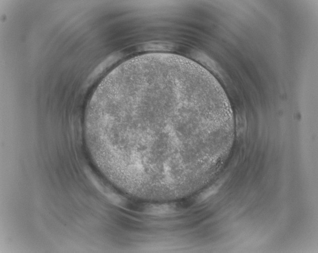 X0000074970349200609291944