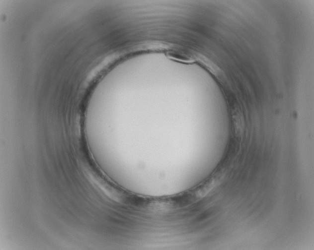 X0000074970350200609291944