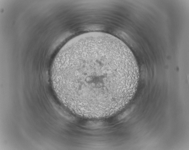 X0000074970351200609291944