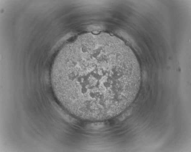 X0000074970353200609291944