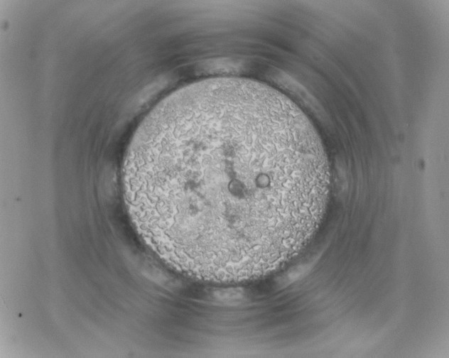 X0000074970355200609291944