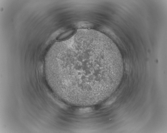 X0000074970357200609291944