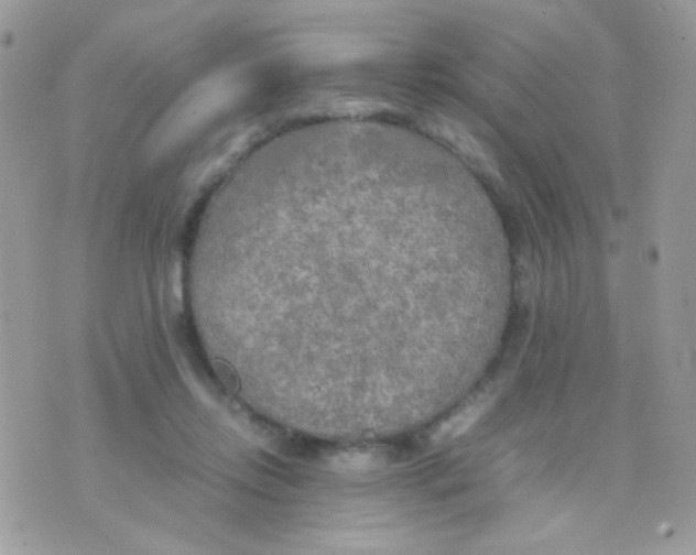 X0000074970358200609291944