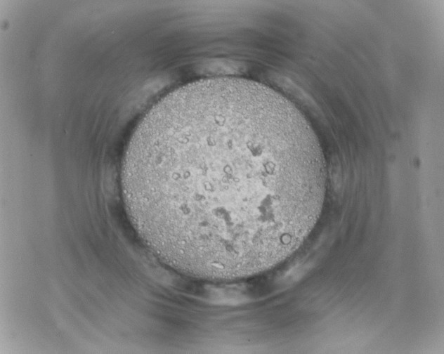 X0000074970359200609291944