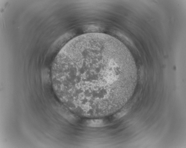 X0000074970361200609291944