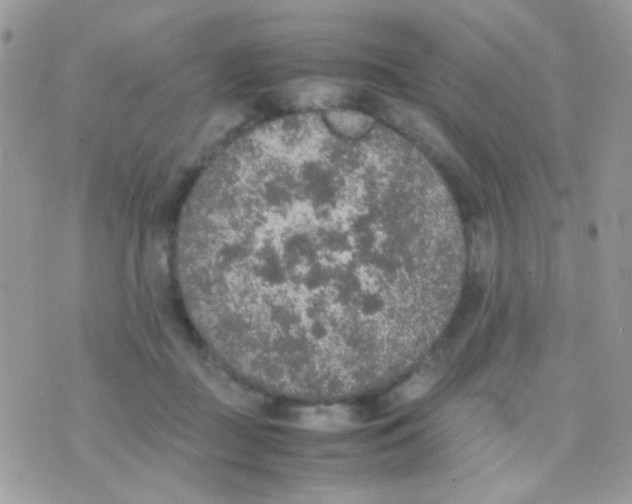 X0000074970363200609291944