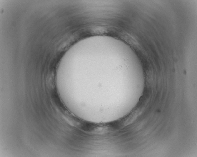 X0000074970364200609291944