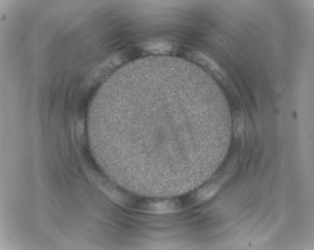 X0000074970365200609291944