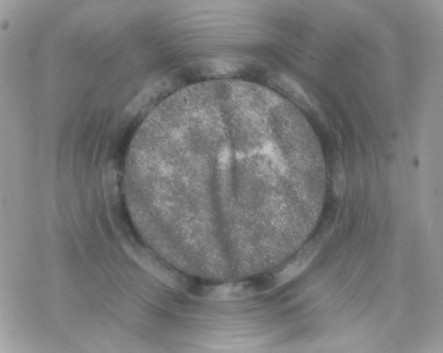 X0000074970366200609291944