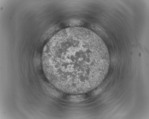 X0000074970367200609291944