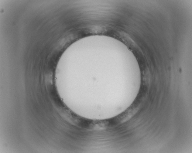 X0000074970368200609291944