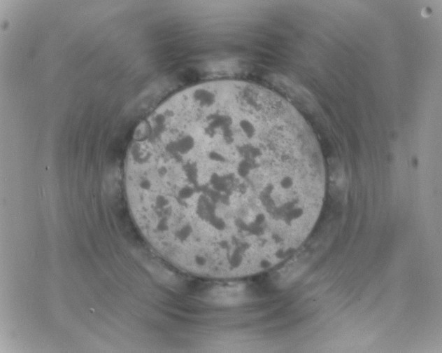 X0000074970369200609291944