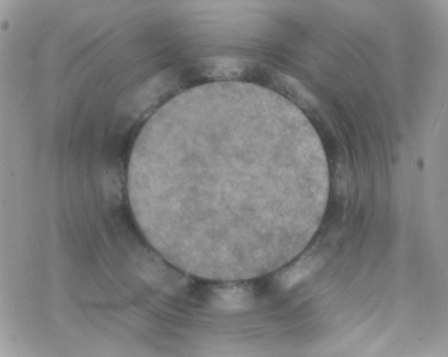 X0000074970370200609291944