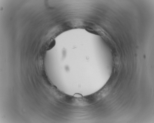 X0000074970372200609291944