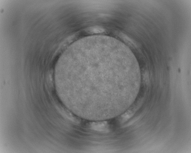 X0000074970373200609291944