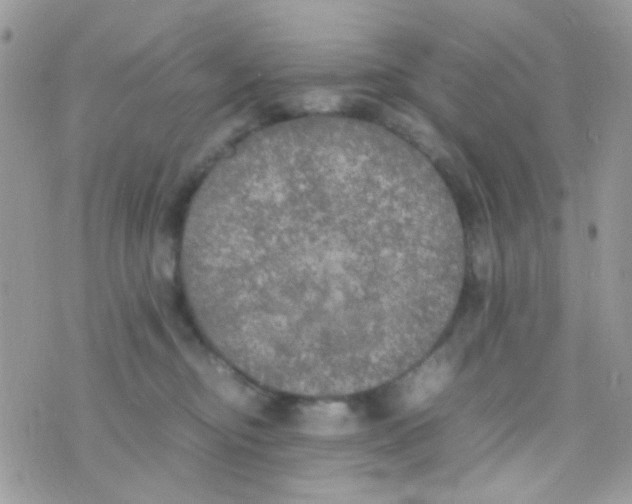 X0000074970374200609291944