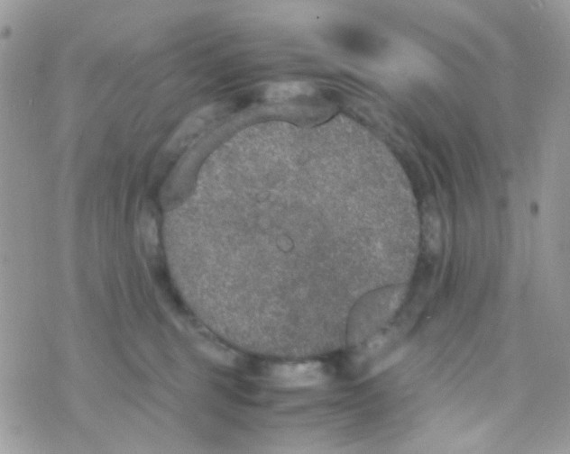 X0000074970375200609291944