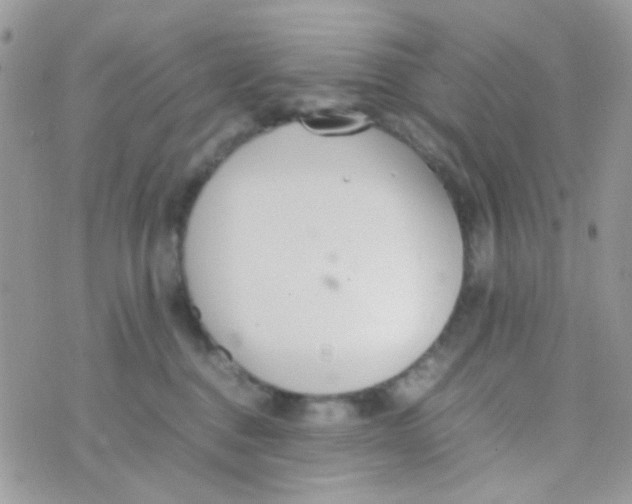 X0000074970376200609291944