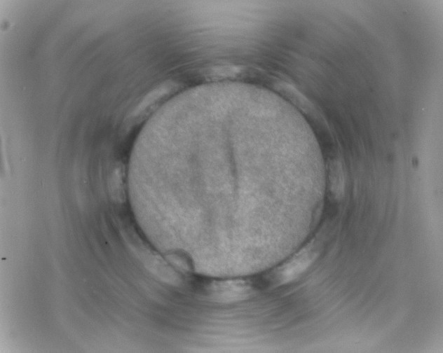 X0000074970378200609291944