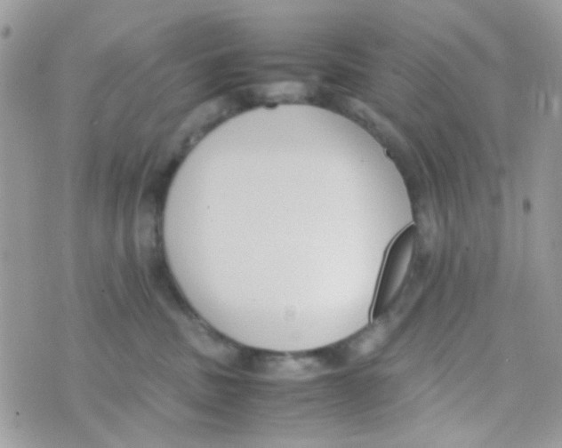 X0000074970379200609291944