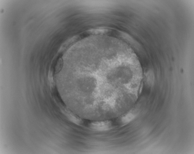 X0000074970381200609291944