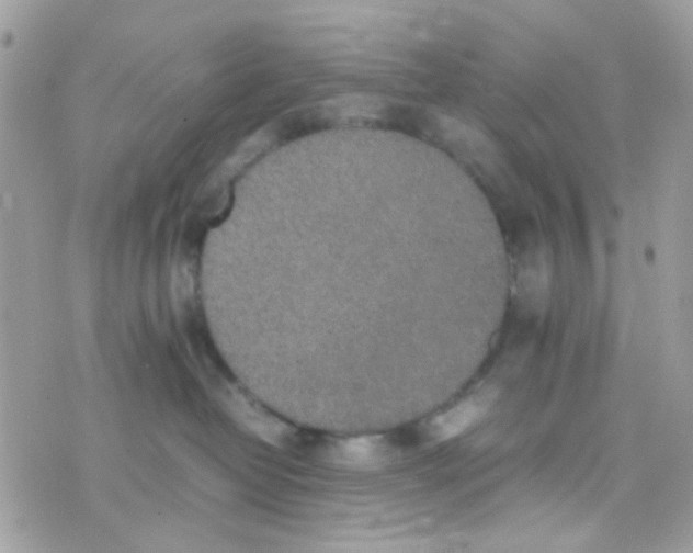 X0000074970382200609291944