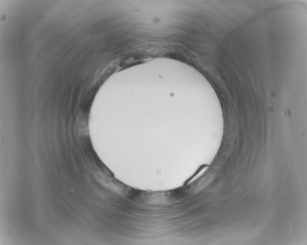 X0000074970384200609291944